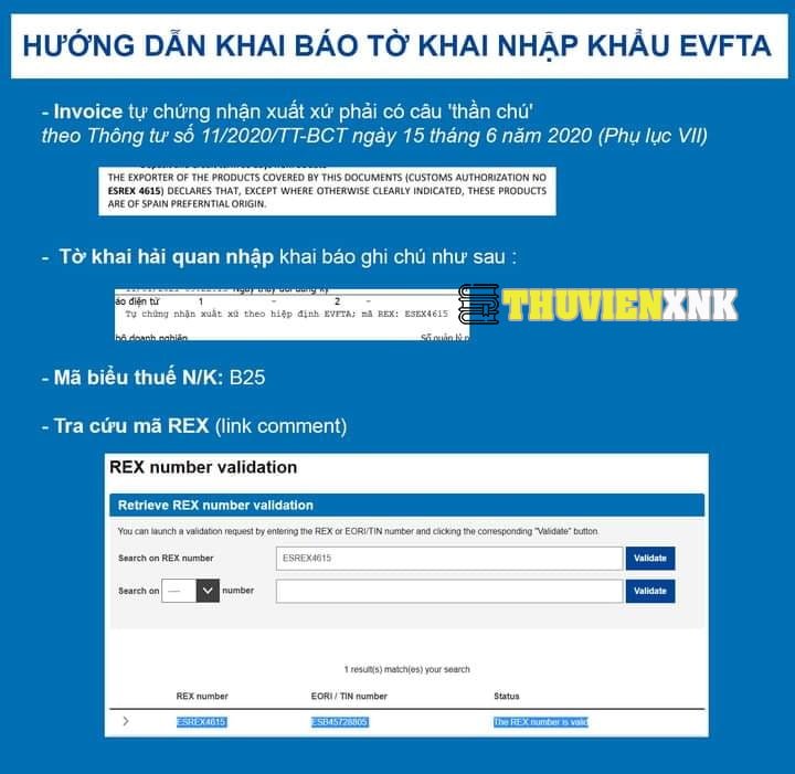 HUONG-DAN-NHAP-LIEU-KHI-KHAI-TK-NK-CO-TU-CHUNG-NHAN-XUAT-XU-1.jpg
