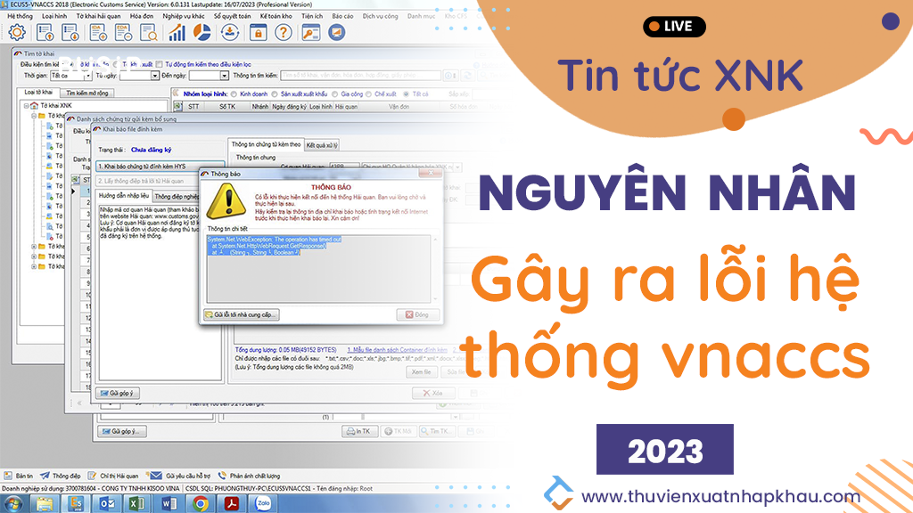 nguyen-nhan-gay-loi-vnaccs.webp