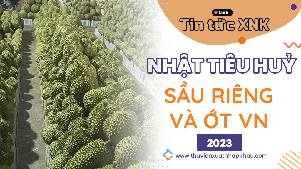 sau-rieng.webp